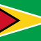 Flag+of+Guyana